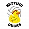 Setting Ducks