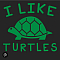 We Like Turtles