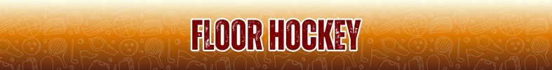 Floor Hockey