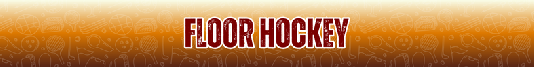 Floor Hockey