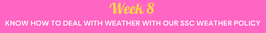 0. S26 Week 8