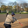 Softball Clarendon