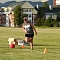 OTS Week 4