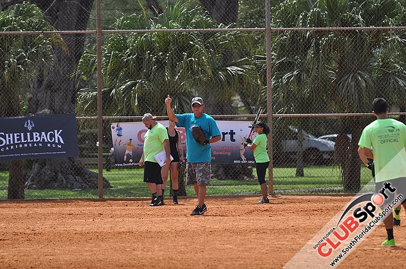 Softballpalooza 2014