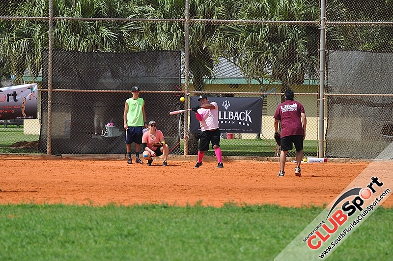 Softballpalooza 2014