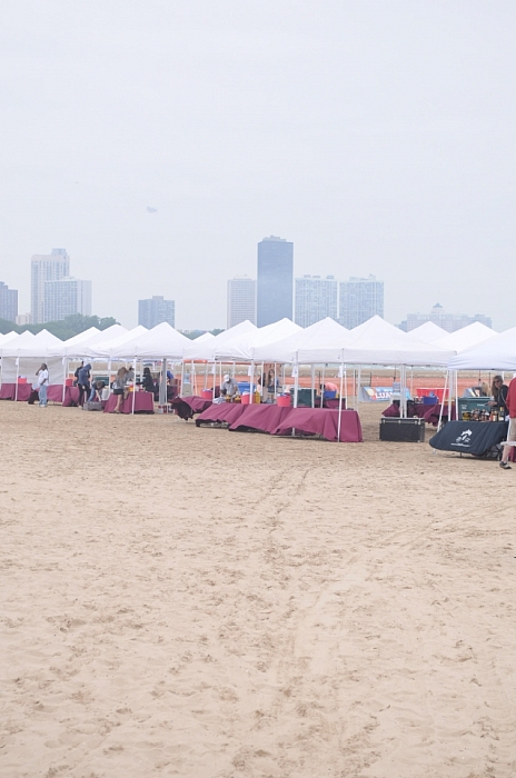 Whiskey, Wine, Swine 2015