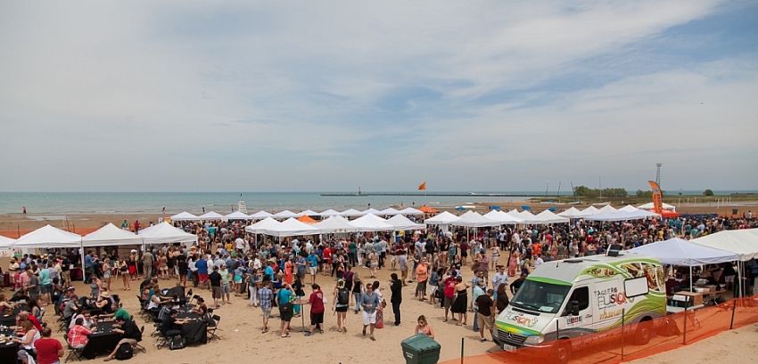 Whiskey, Wine, Swine 2015