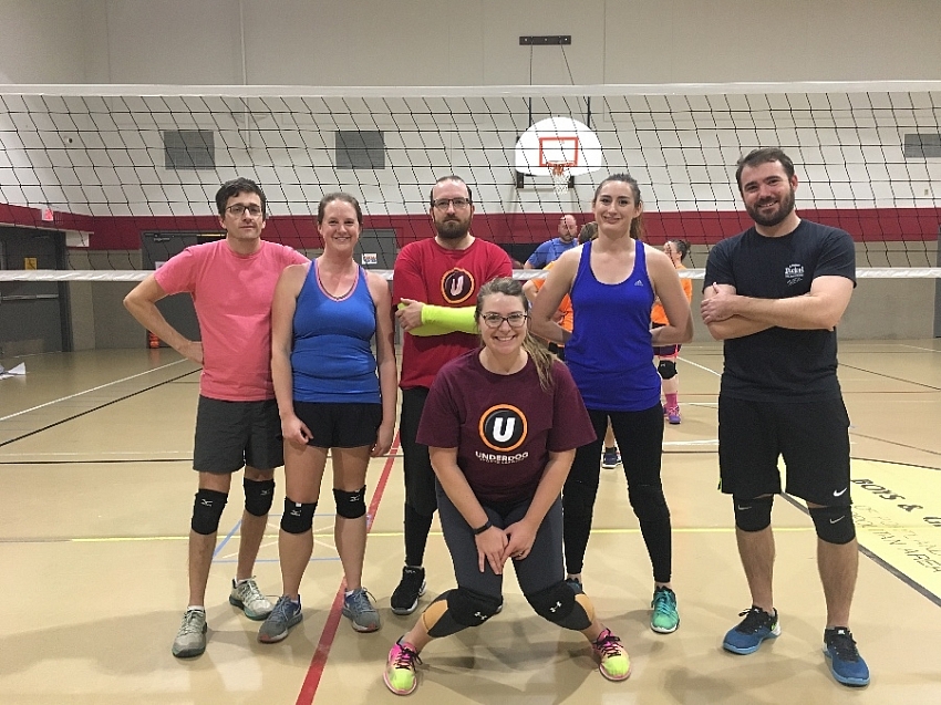 The Volley Lama
