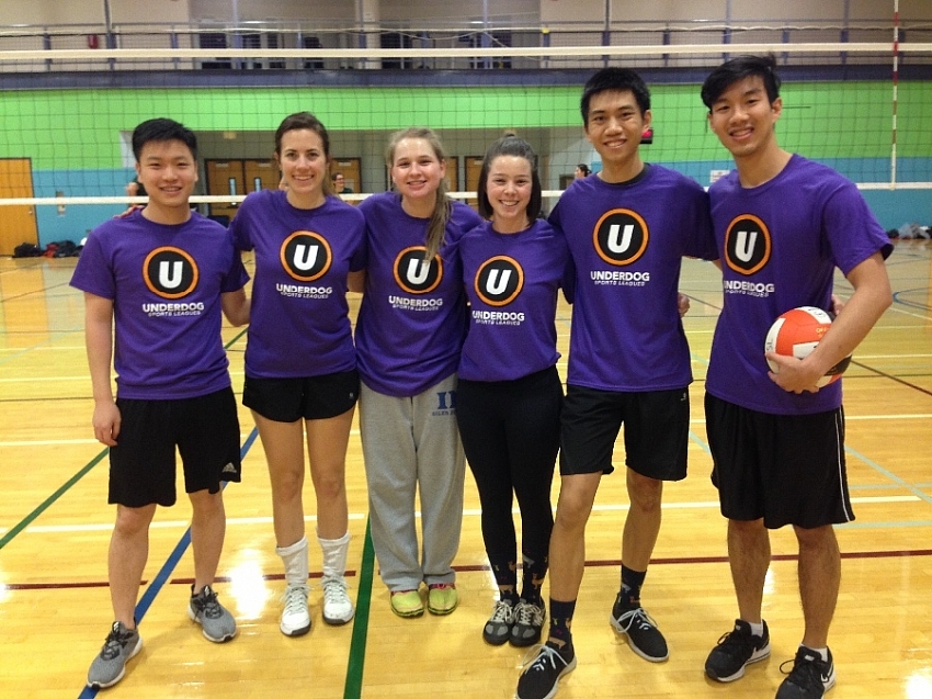 Volley Llamas