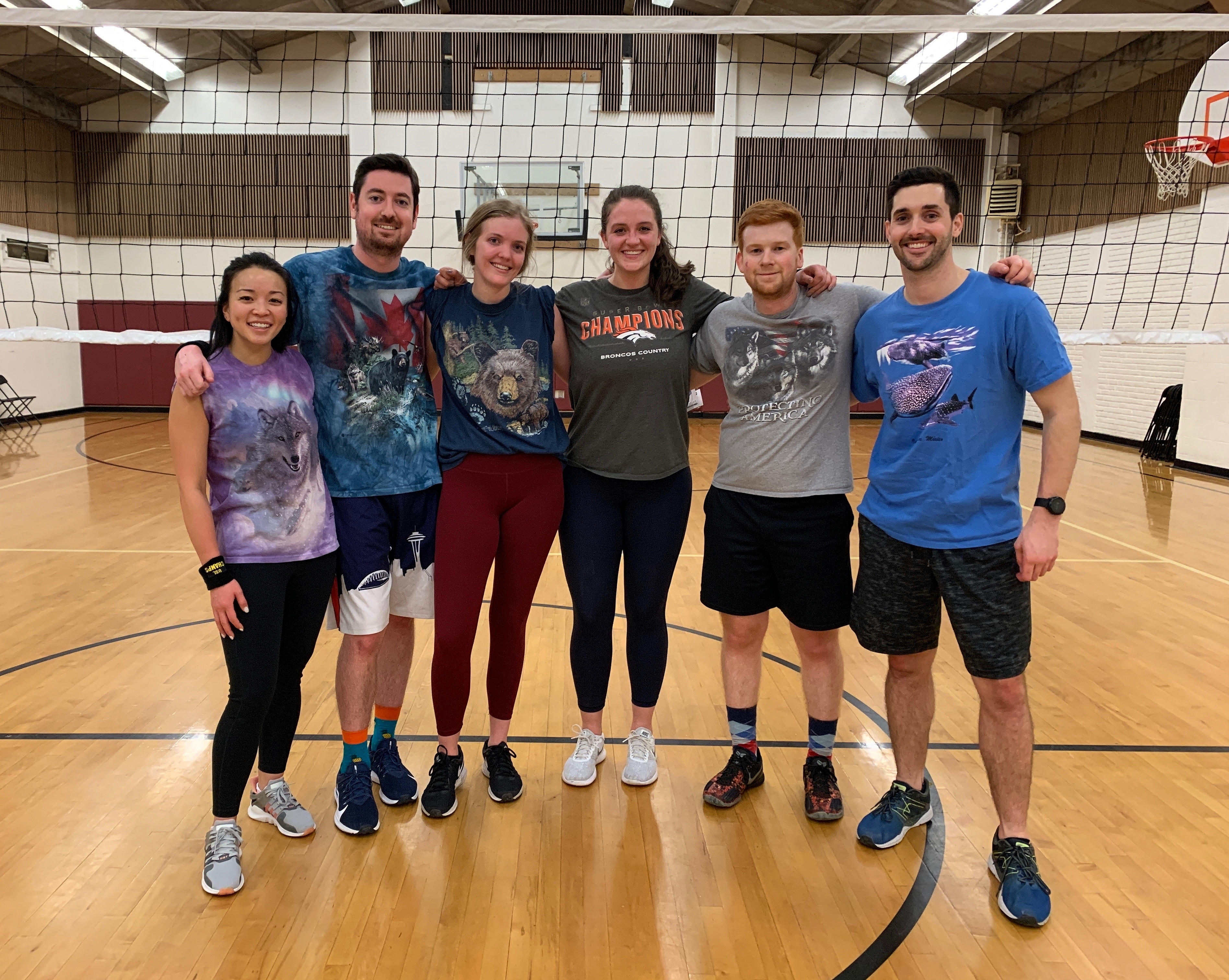 Volley Llamas