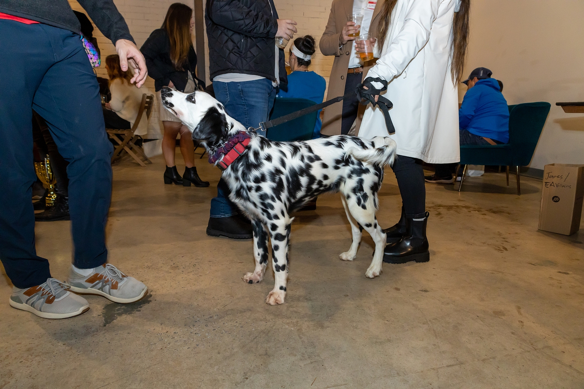 12.15.22 // SOPFC Holiday Party // Round Trip Brewing