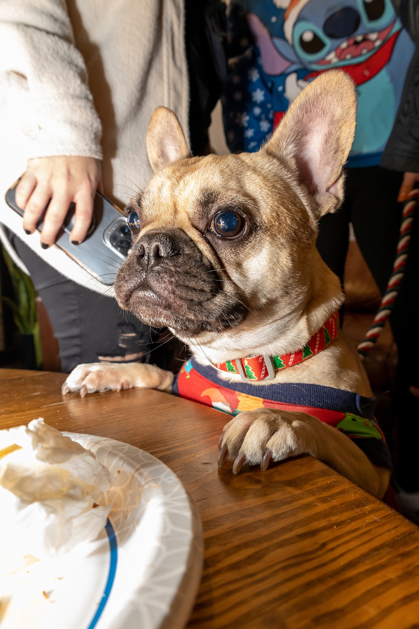 12.15.22 // SOPFC Holiday Party // Round Trip Brewing