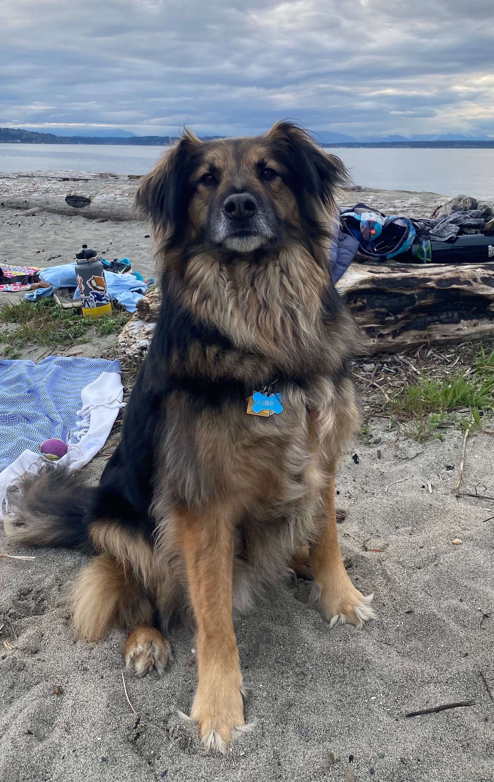 POTG - All About That Ace