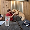 Dog Lovers