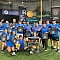 We Throw Softballs, Not shade - CHAMPS Team Logo