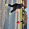 Stevie Kicks