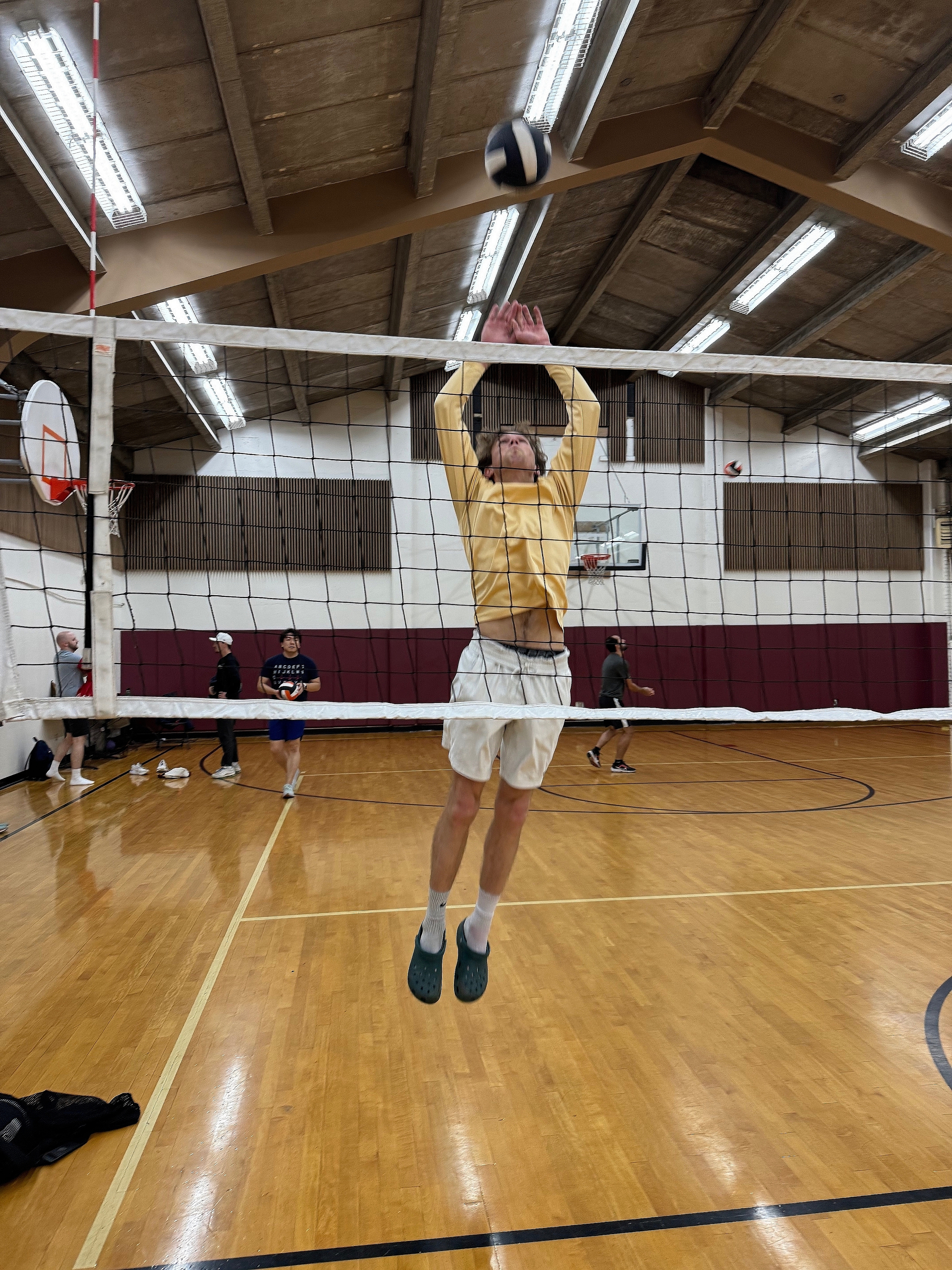 POTG - Volley Llamas 