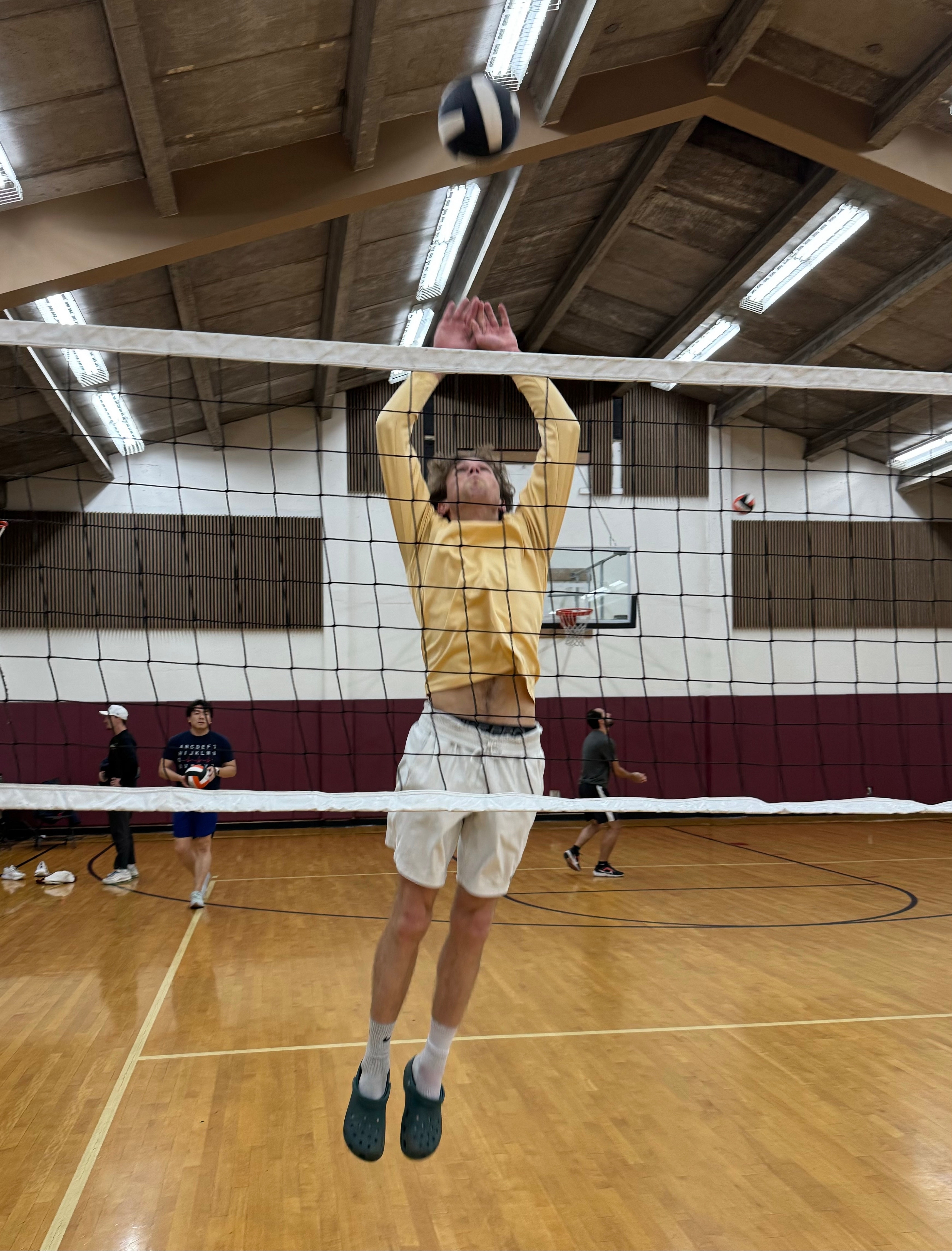 POTG - Volley Llamas 