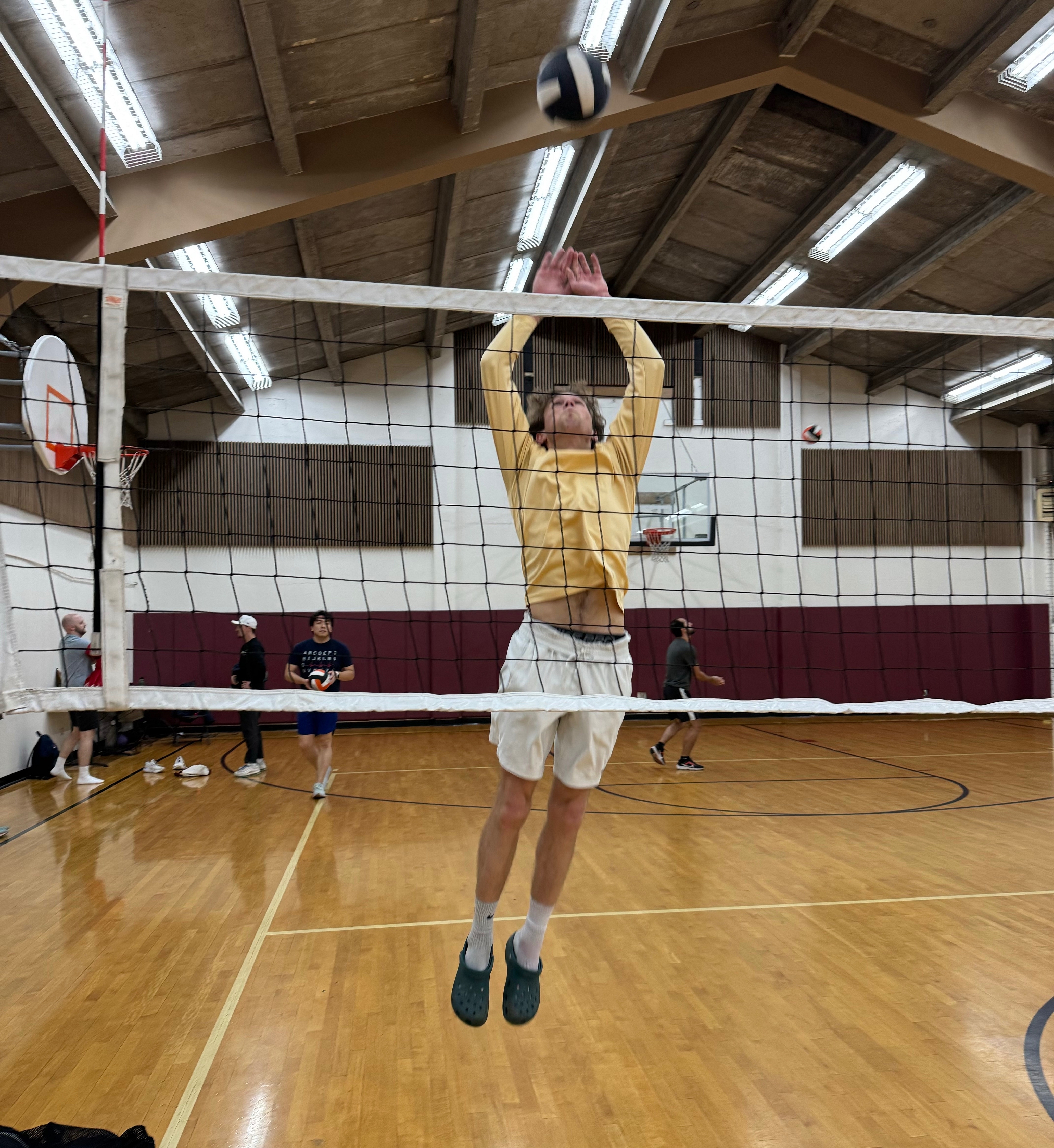 POTG - Volley Llamas 