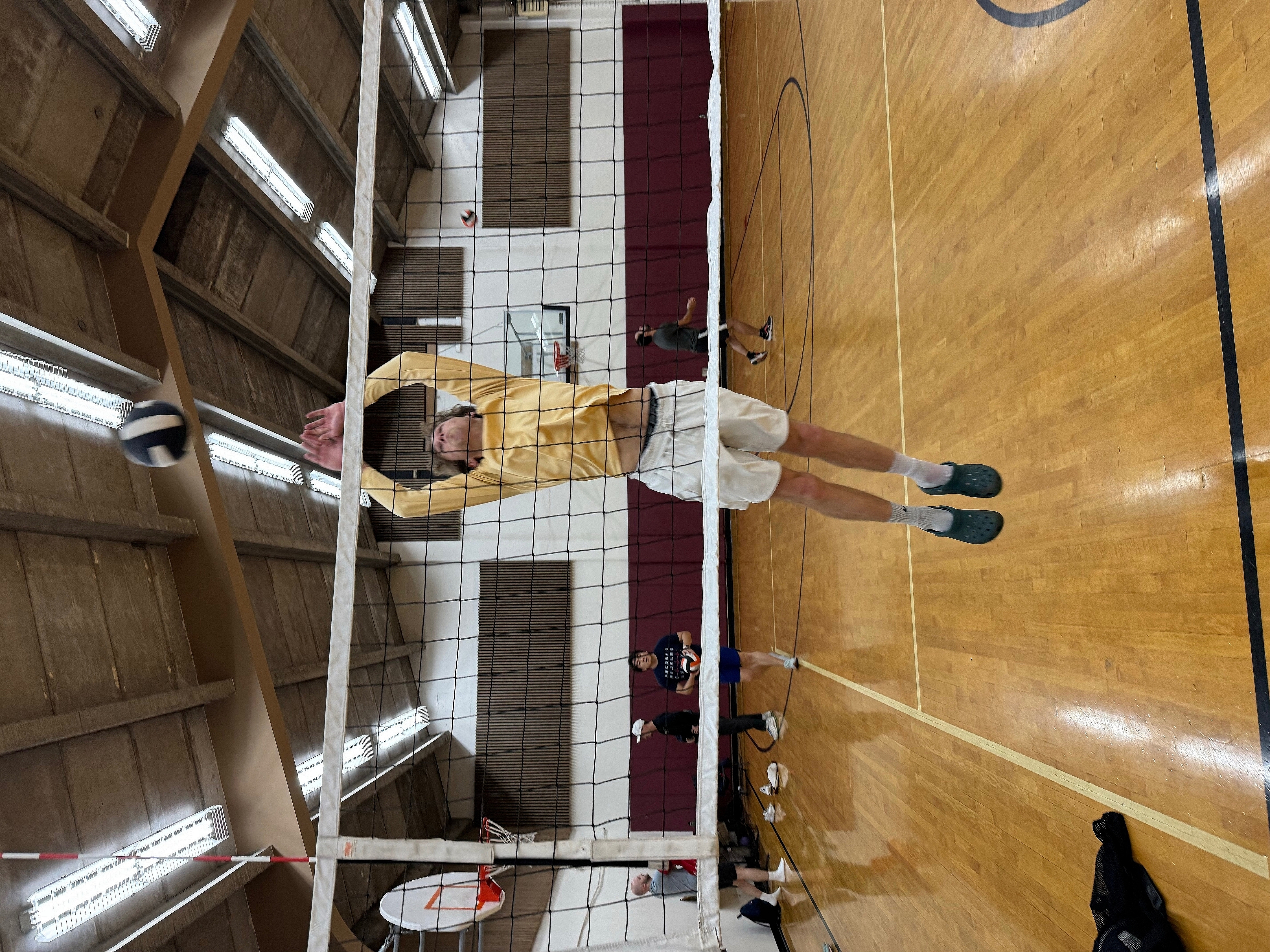 POTG - Volley Llamas 