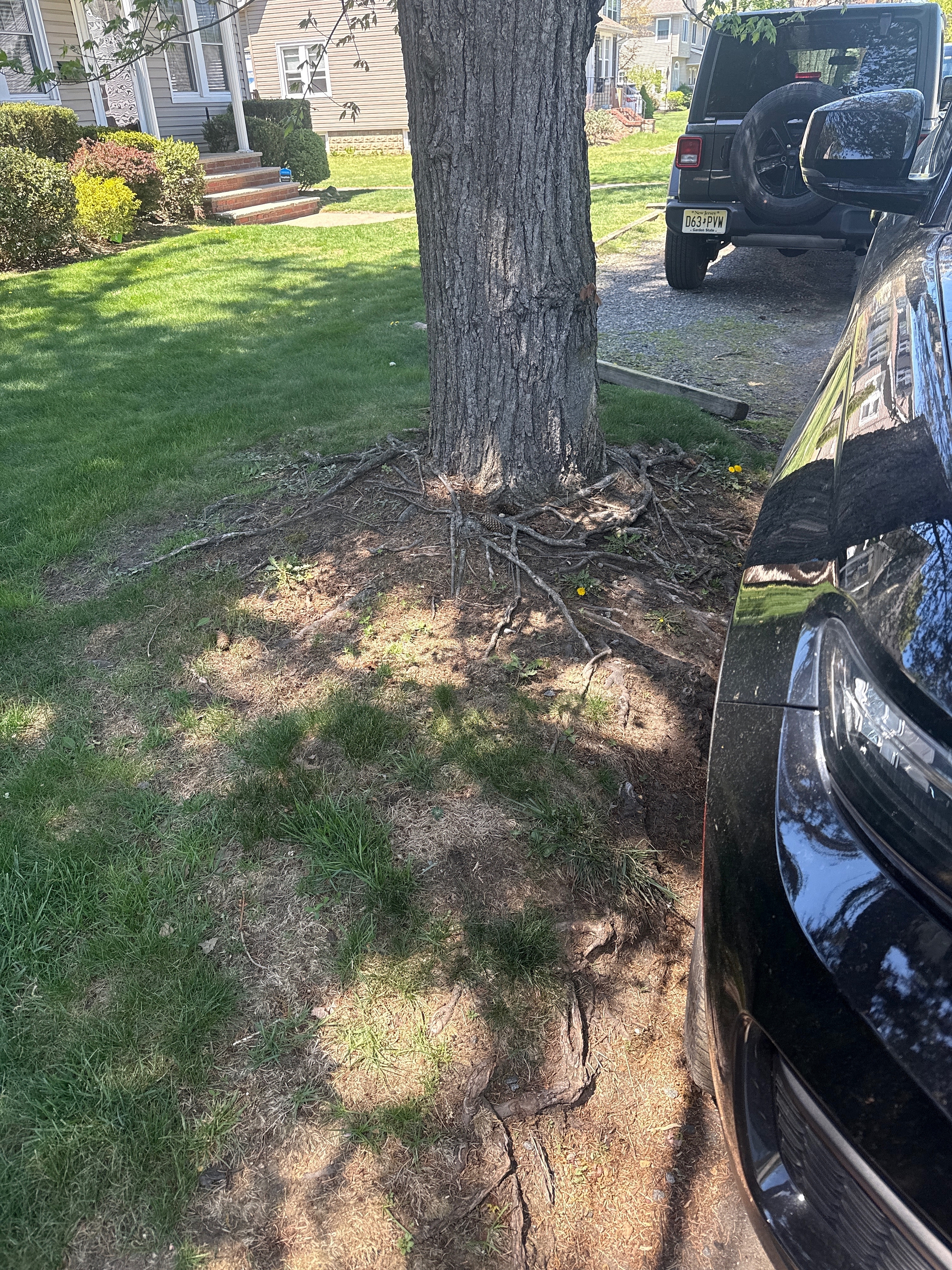 POTG - Bad shot takers