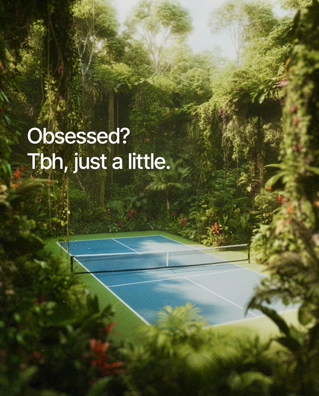 Rally Cats (Beginner II)