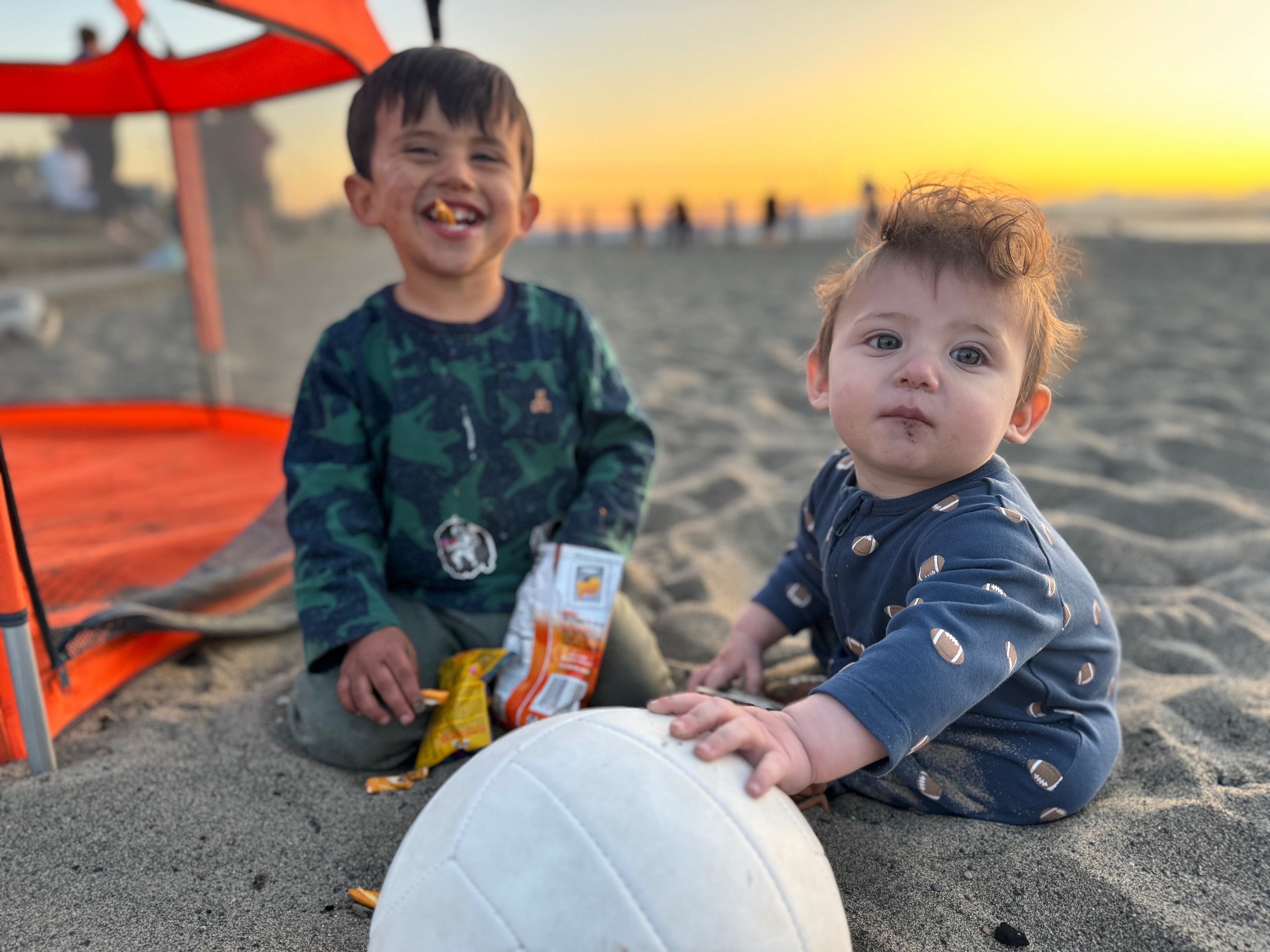 POTG - Parmesan Jungle Cats