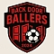 Backdoor Ballers Team Logo