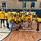 DT Volley  Team Logo