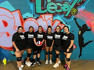 Chicks with Digs Team Photo