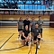 Volley Llamas Team Logo