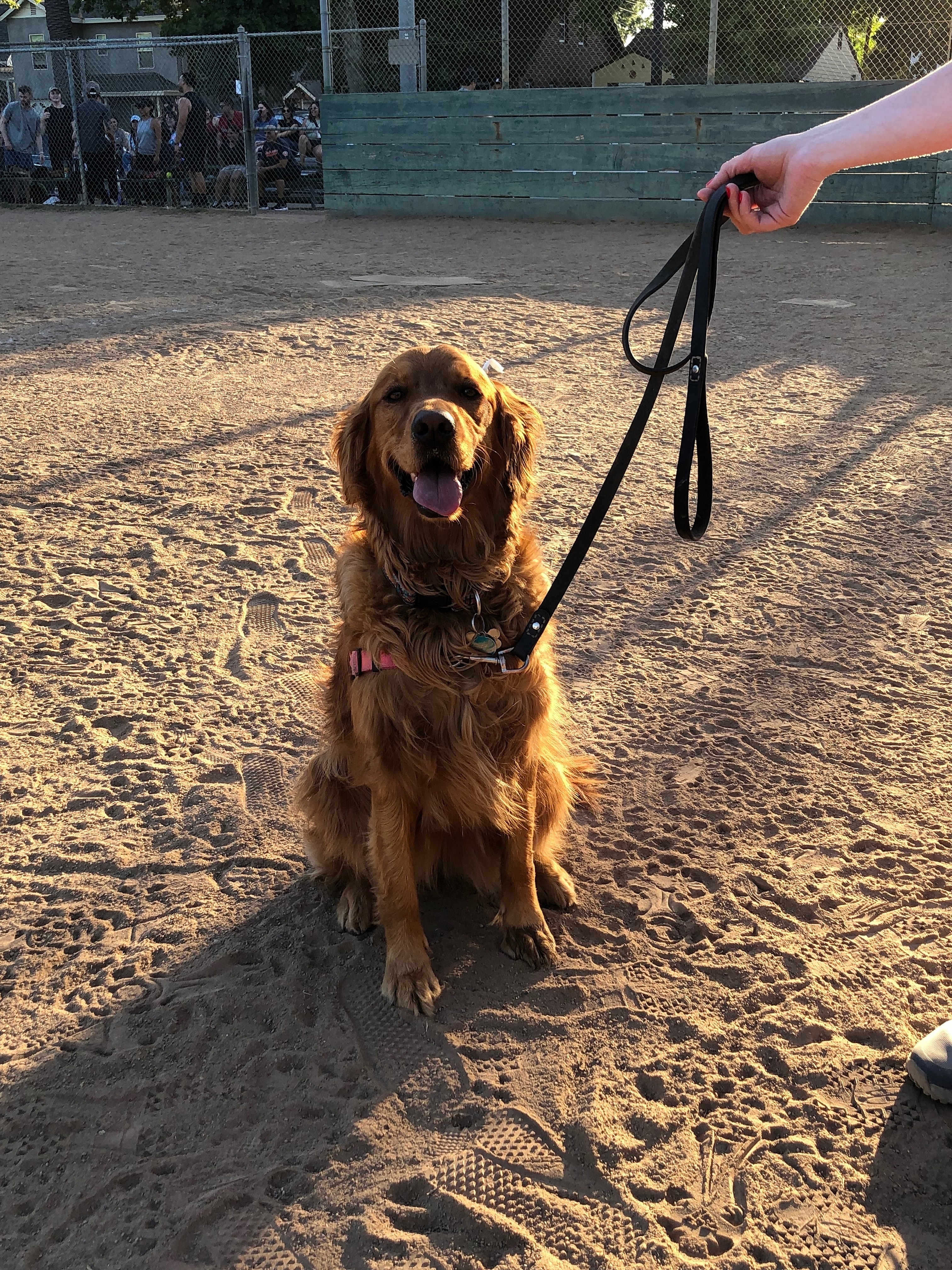 POTG - The Hit Squad