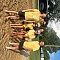Average Joes 