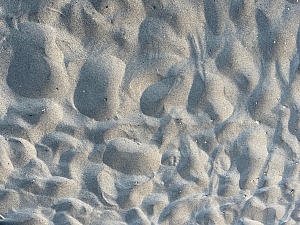 Player Of The Game: Michael E