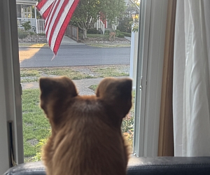 Super Cool Beans Team Photo