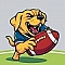 Labrador Receivers