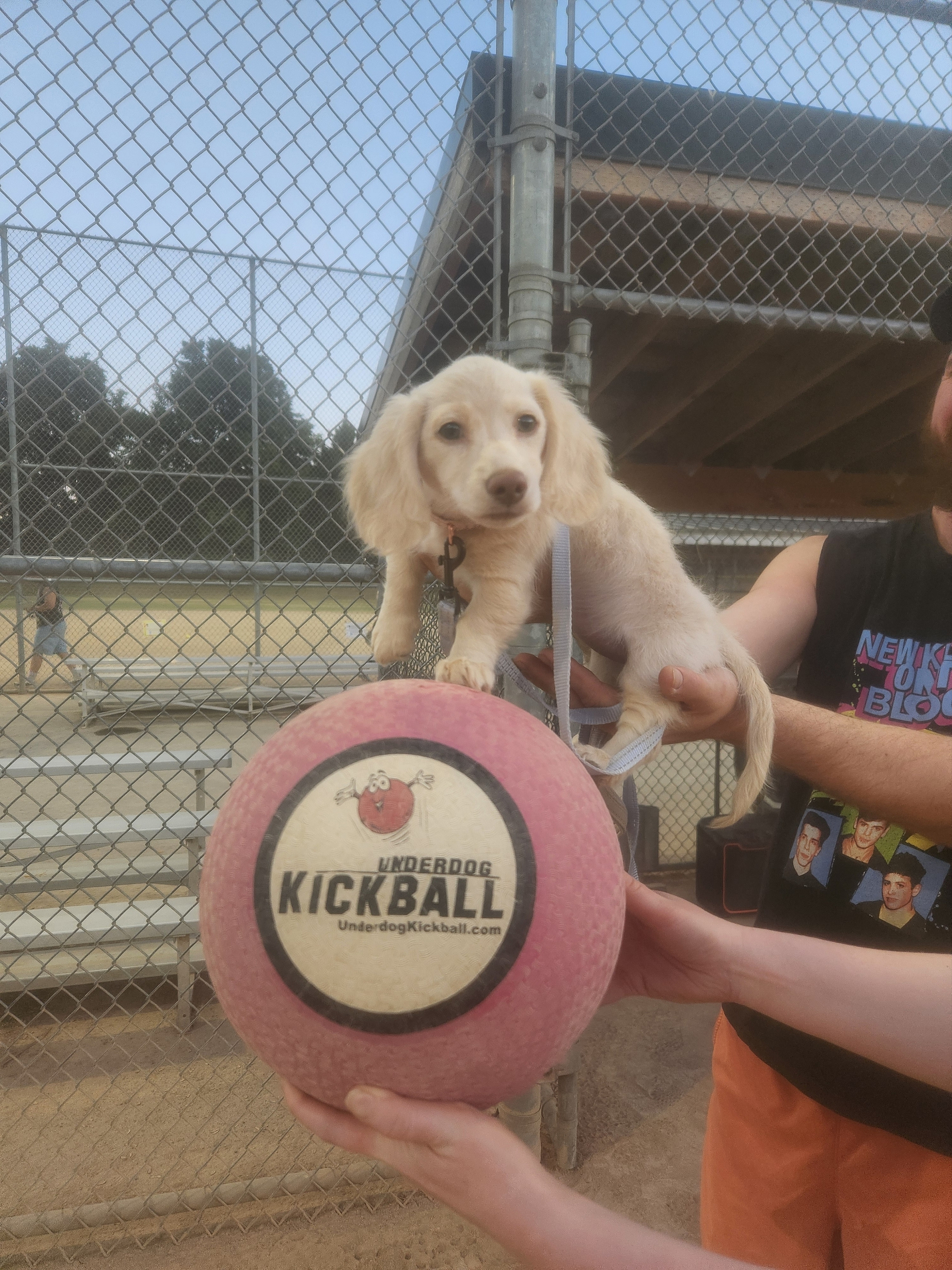 POTG - New Kicks on the Block