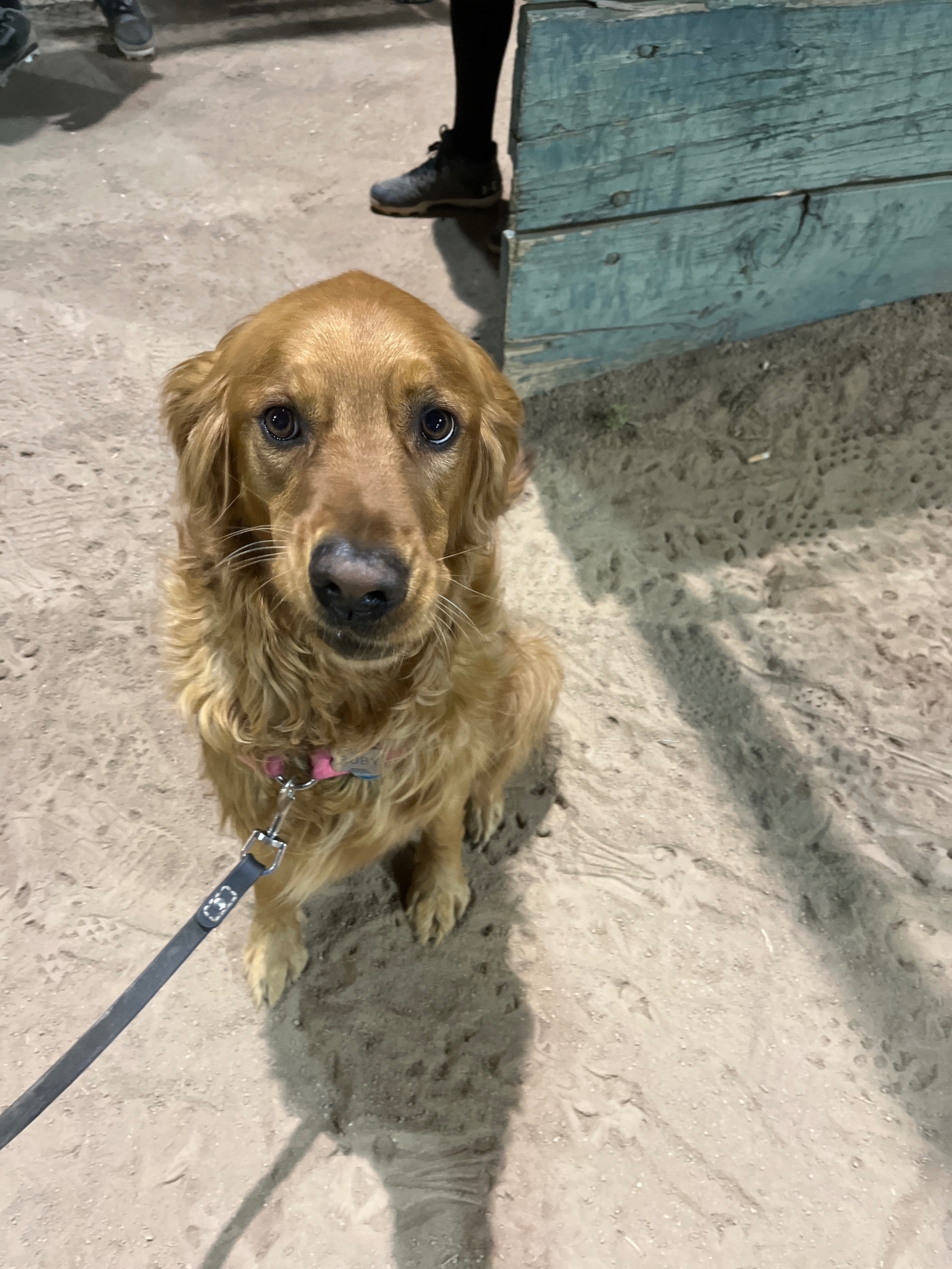 POTG - The Hit Squad