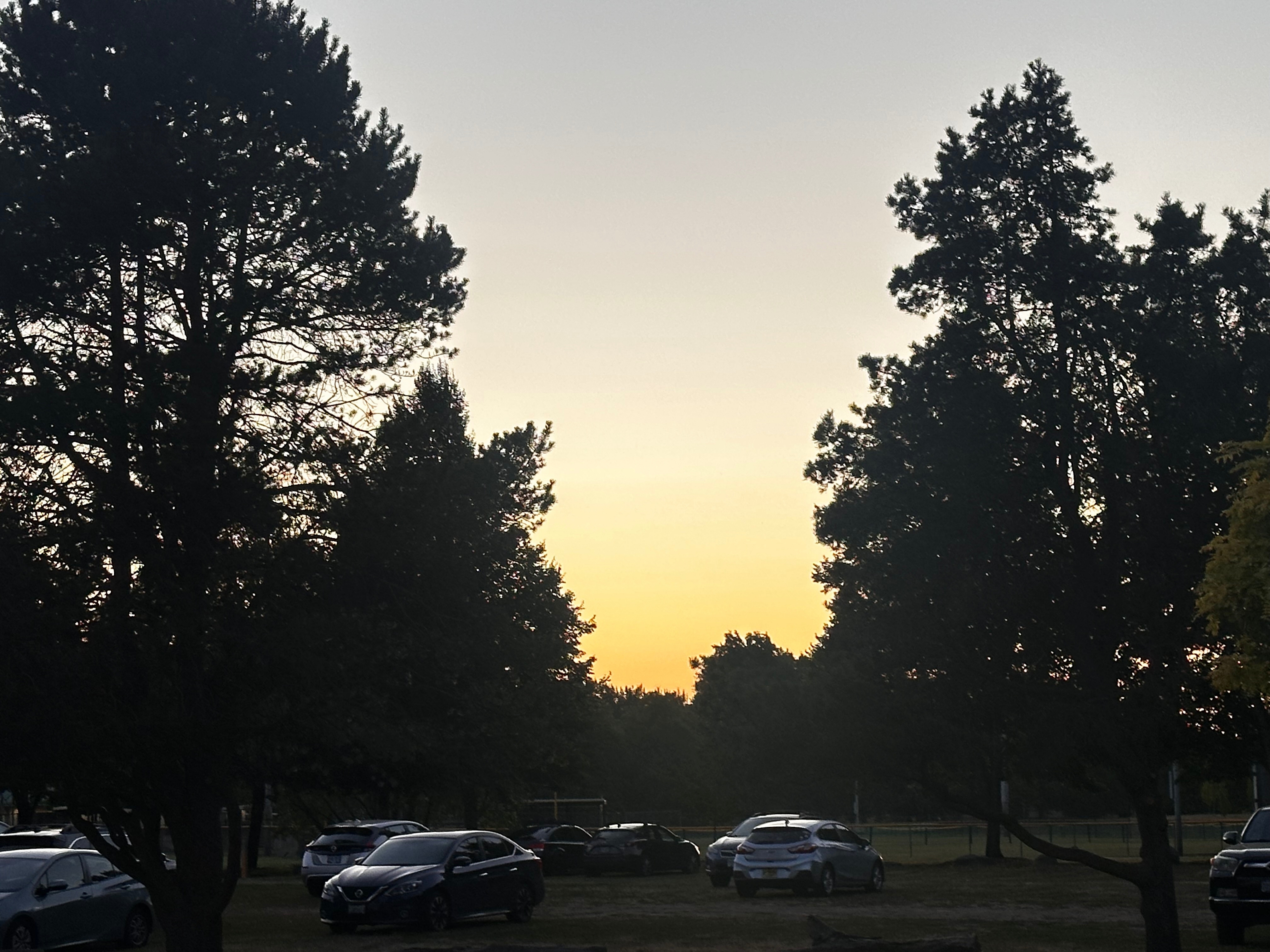 POTG - Puff, Puff, Pass