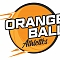 Orange Ball Athletics Team Logo
