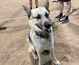 Player Of The Game: Andrew O