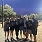 The Volley Llamas