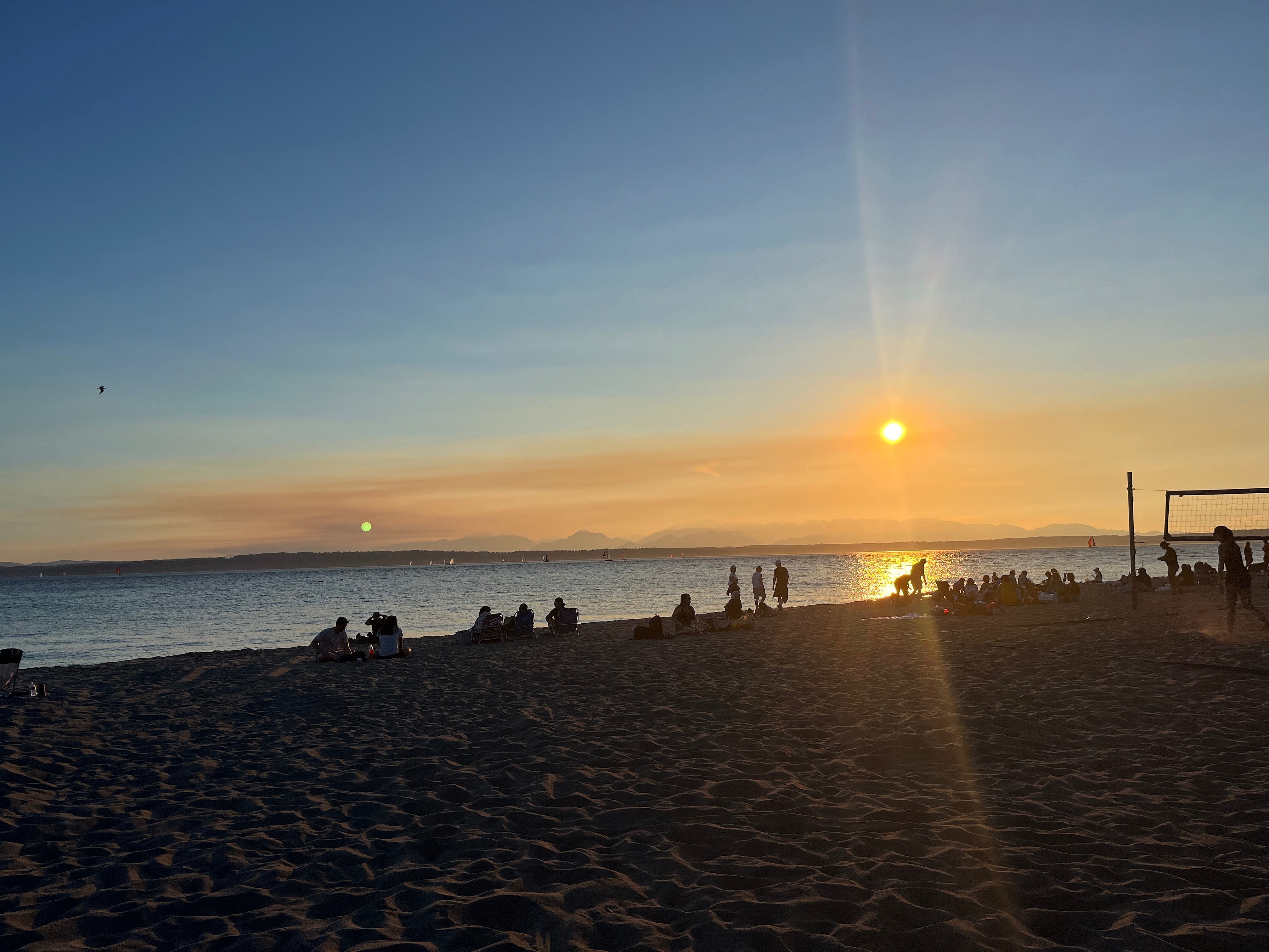 POTG - Poop Sandwich