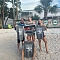Questionable (ca) - CHAMPS