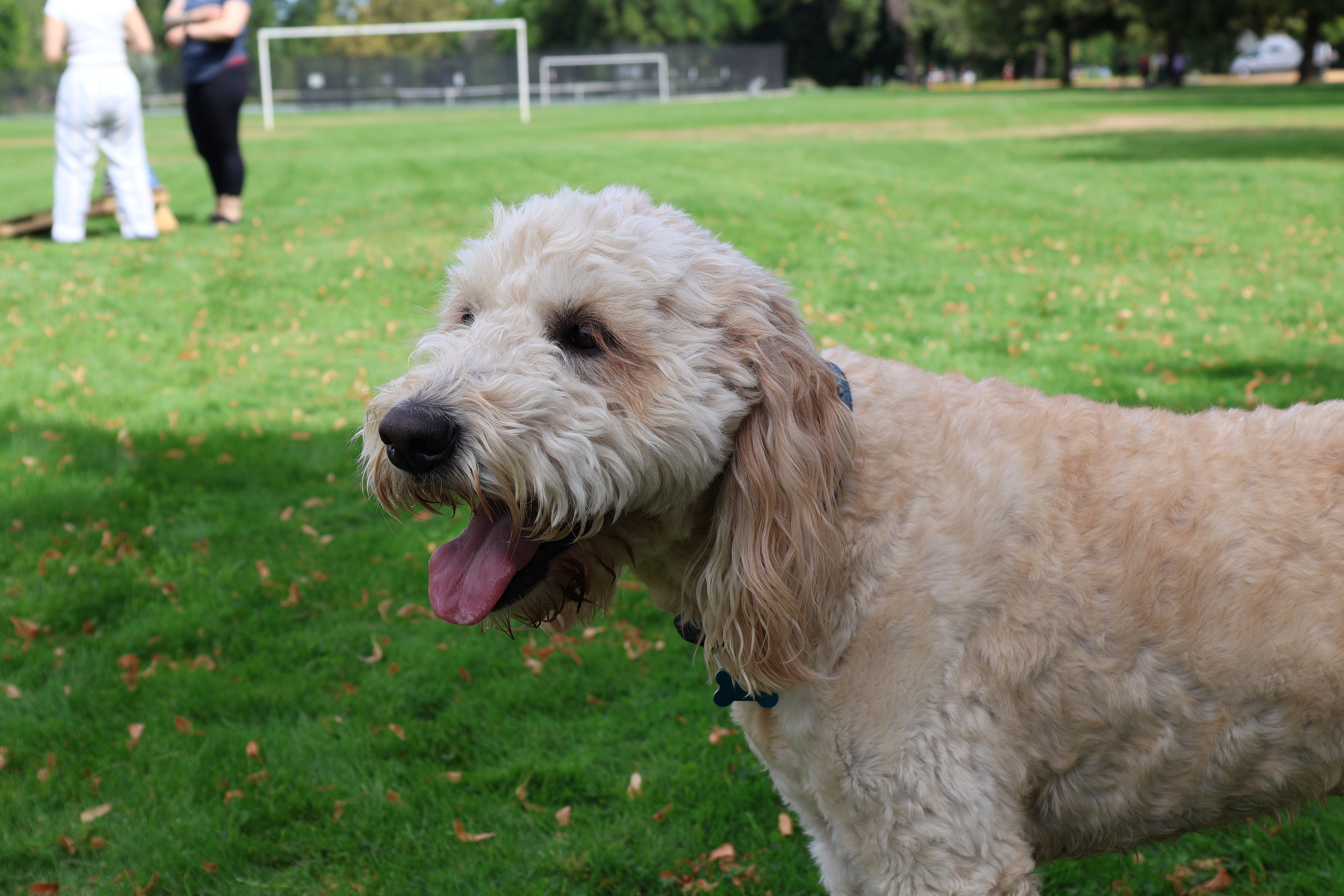 2025 World Beer Games