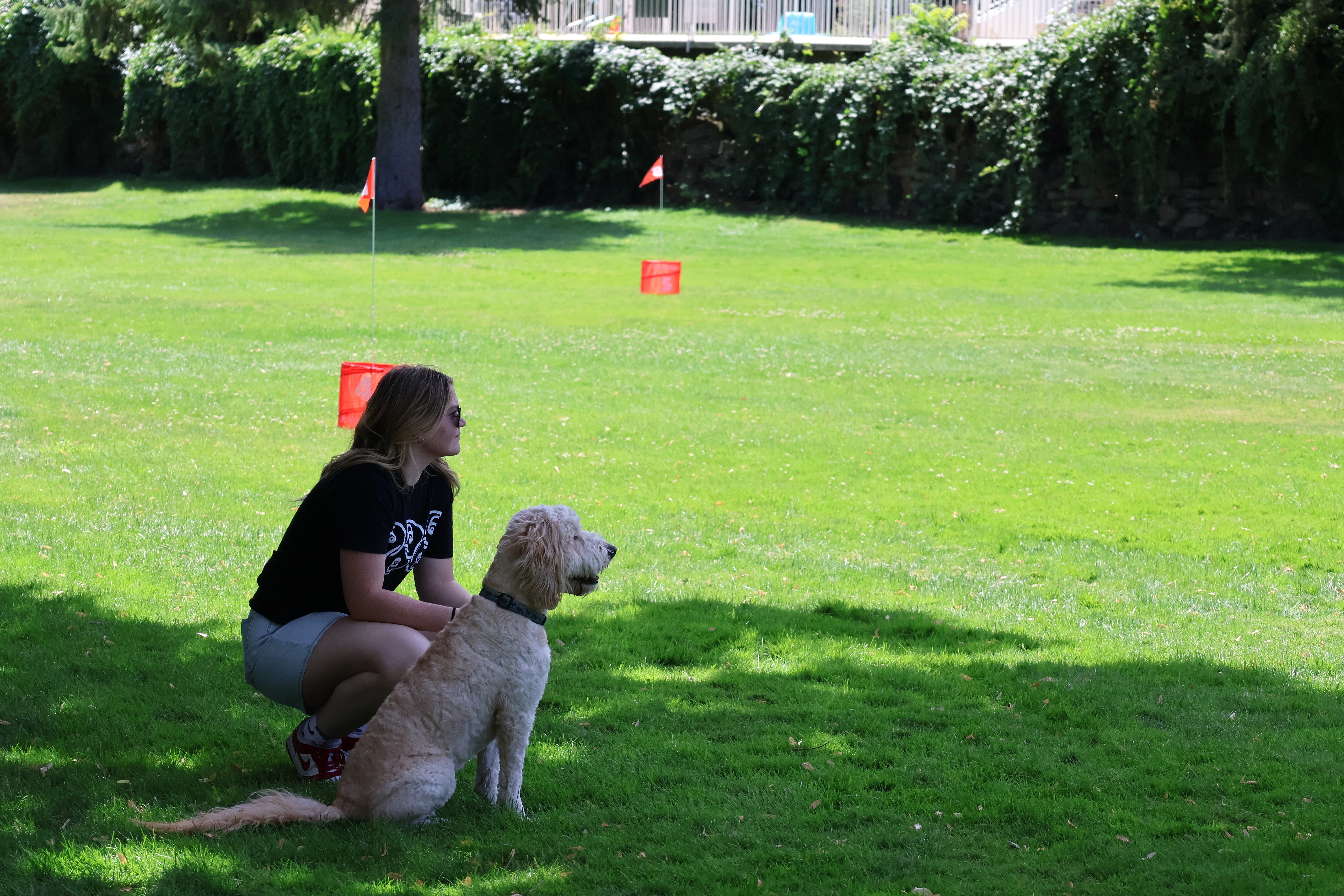 2025 World Beer Games