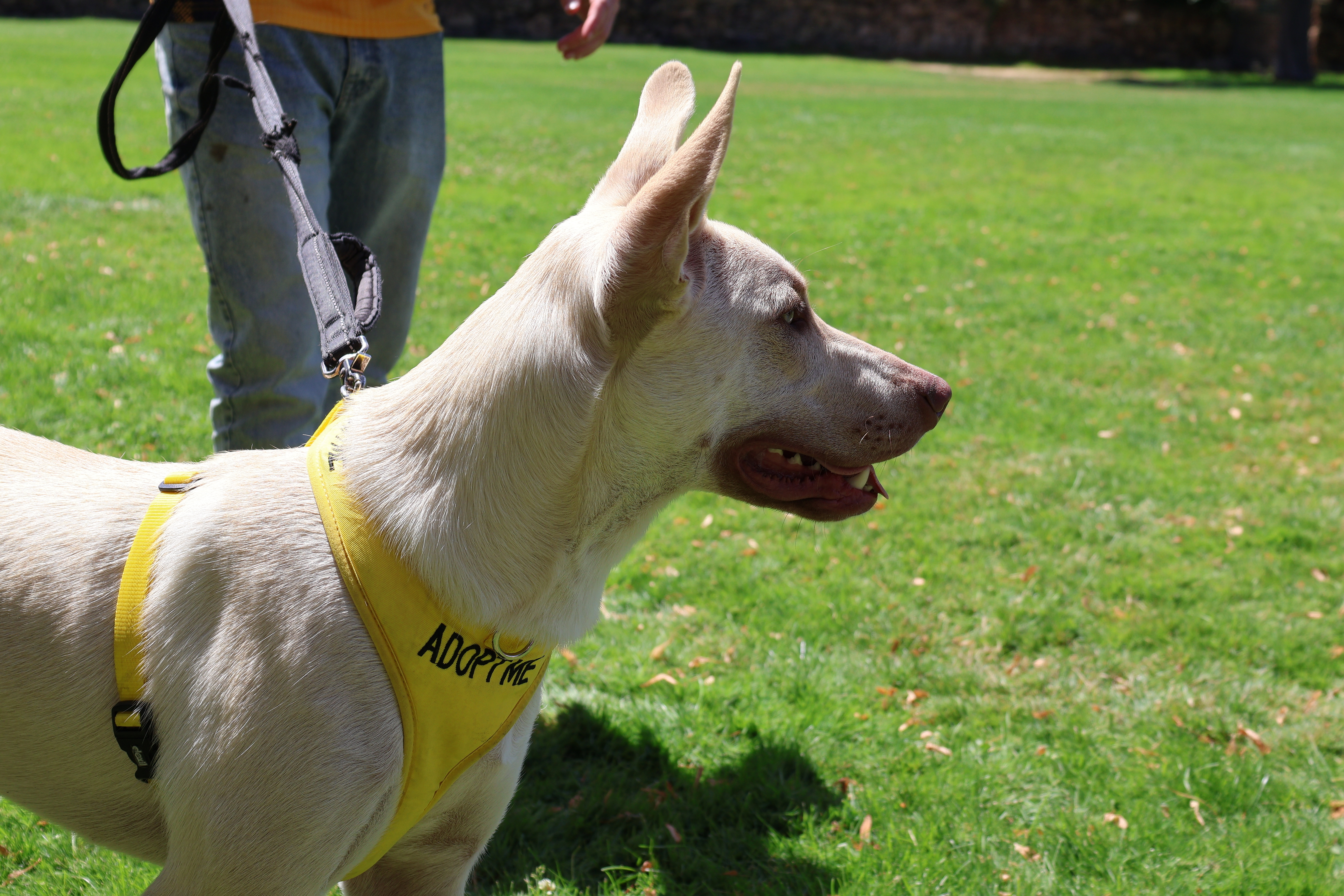 2025 World Beer Games