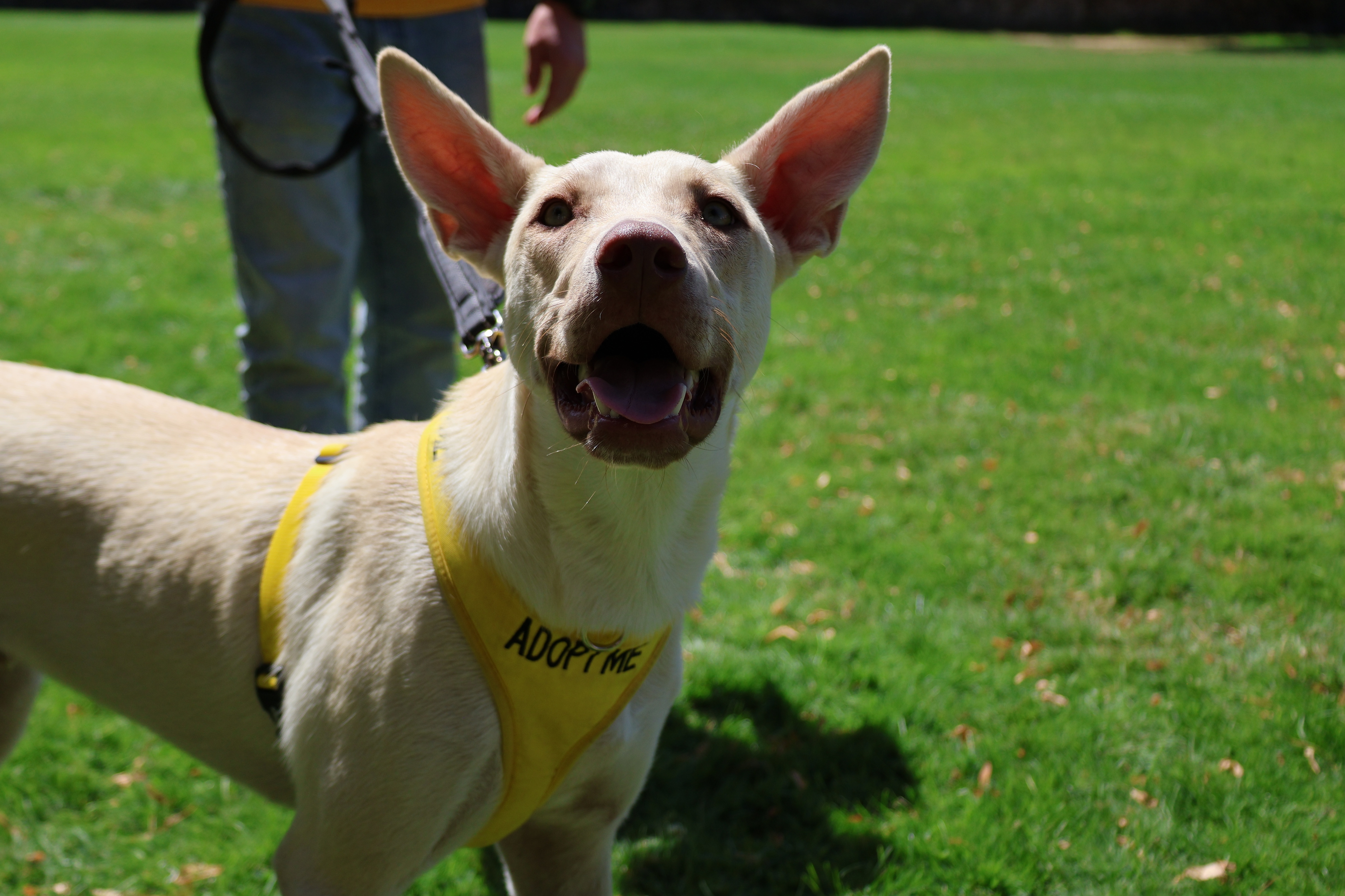 2025 World Beer Games