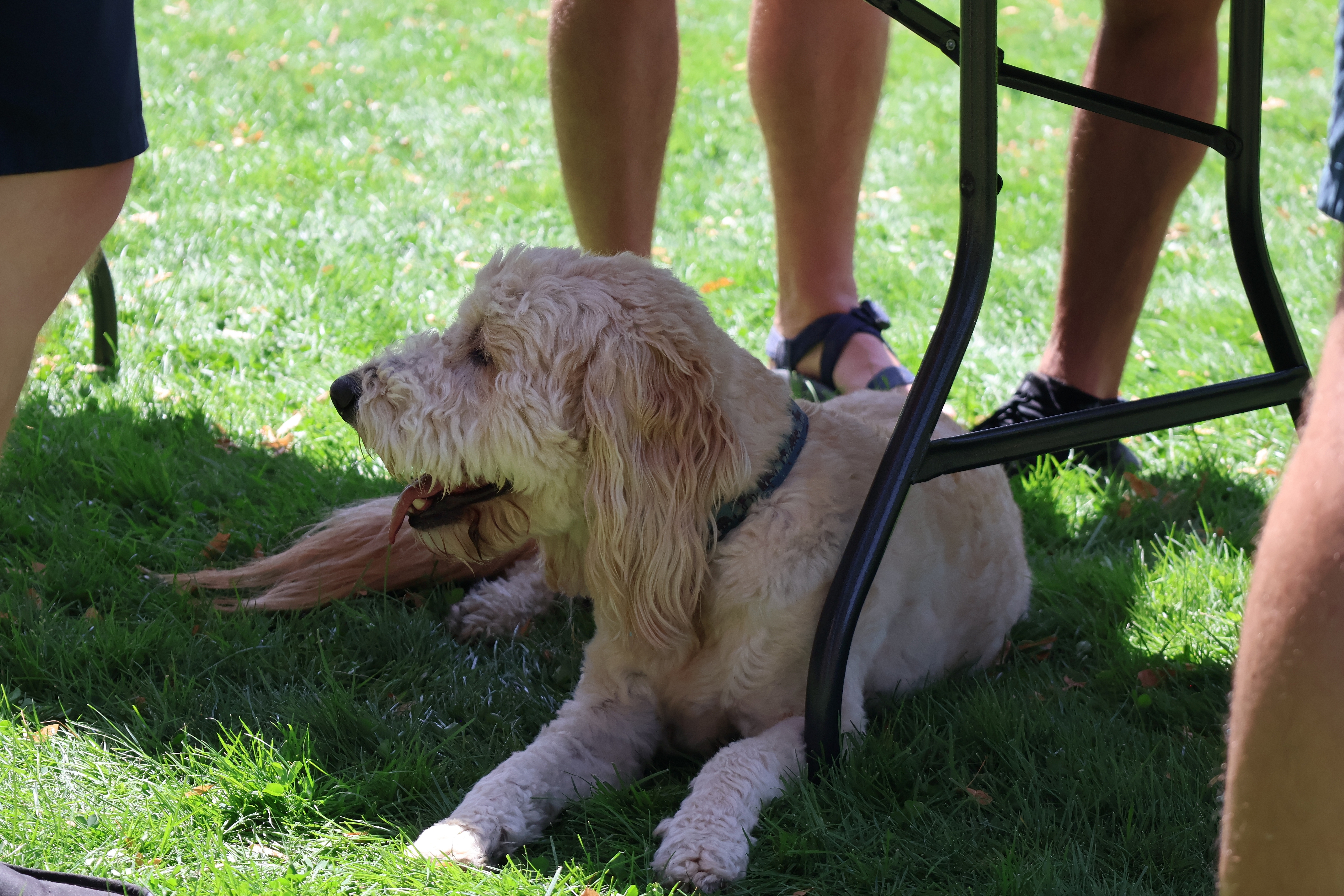 2025 World Beer Games