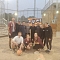 Balls en Fuego Team Logo